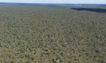 Imagem 2: Fazenda pela metade do preço. 3.388 Hectares muito barata