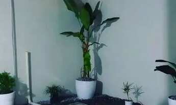 Imagem 2: 66 VENDE-SE ESTÁ CASA