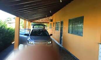 Imagem 5: Santo Antônio do Aracanguá - Fazenda/Sítio - Macaúba