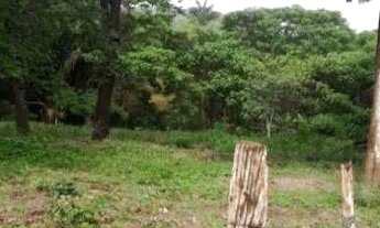 Imagem 2: Fazenda à Venda, 5.593ha² Por R$ 11.000.000 - área Rural - Floriano/pi