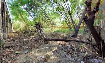 Imagem 7: Terreno - Chácara Santa Margarida - Campinas