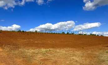 Imagem 7: Fazenda com 40 alqueires, região de Avaré - SP (Nogueira Imóveis Rurais