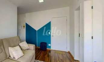 Imagem 1: São Paulo - Apartamento Padrão - Cambuci