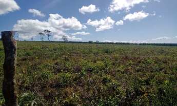 Imagem 3: Fazenda de 74,5 hectares para eucalipto, gado ou soja