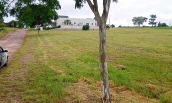 Imagem 2: Lote excelente pra venda