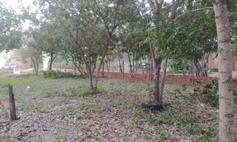 Imagem 4: Vende-se terreno situado no loteamento Agro Tecnológico de Palmas-to (próximo da Agrotins