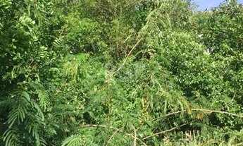 Imagem 4: Area para Venda - 0m², 0 dormitórios, Navegantes