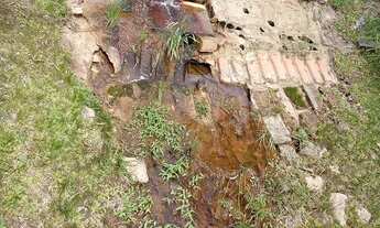 Imagem 4: Piscina adulto e infantil 2 lagos nacsente própria casa com lage