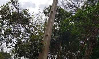 Imagem 7: Vendo terreno de chacara em Caldas MG