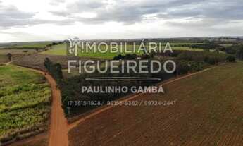 Imagem 5: Propriedade Rural na Região de #Olímpia SP