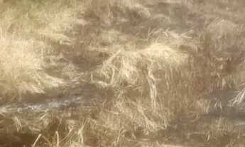 Imagem 3: Lotes com escritura