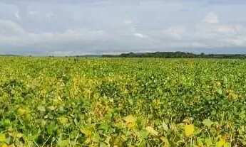 Imagem 5: Fazenda a venda em Barro Alto / Goiás!!!