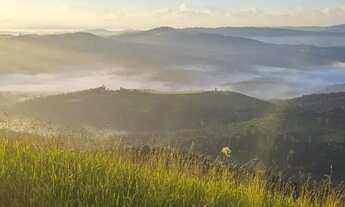 Imagem 5: Terreno plano e pronto para construir