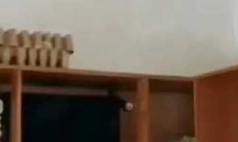 Imagem 13: Casa em Corumbau - Prado - BA