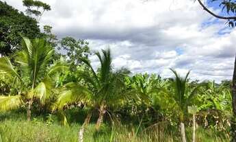 Imagem 7: Imóvel para venda tem 12000 metros quadrados em Vila Nova - Pacaraima - RR