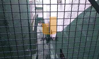 Imagem 6: Casa Comercial com 4 salas 3 Vagas em Higienópolis