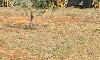 Imagem 3: Vendo lote. Faço trocas