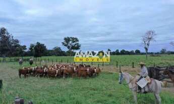 Imagem 3: Excelente fazenda no estado de Mato Grosso