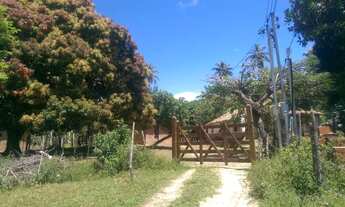 Imagem 6: Casa no litoral baiano