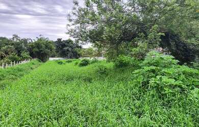 Imagem 5: EXCLENTE TERRENO NA SC 401 -- FLORIANOPIOLIS/SC