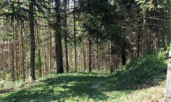 Imagem 6: Sítio em piedade 8 alqueires