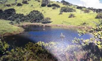 Imagem: /Terreno com 270 hectares na BR 174