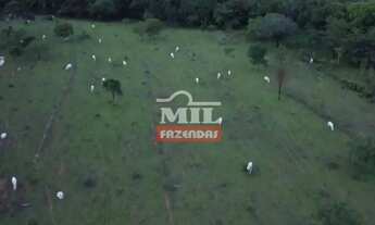 Imagem 2: Fazenda 75 Alqueires (363 Hectares) Uruaçu - Go