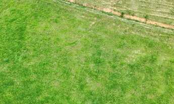 Imagem 2: Oportunidade em santa Leopoldina próximo ao bar da vera