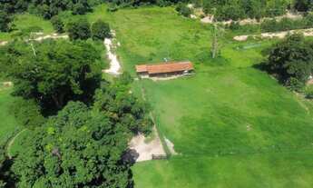 Imagem 5: FAZENDA PECUARIA 305 HECT STO ANTÔNIO LEVERGER