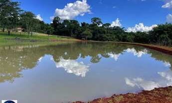 Imagem 6: Chácara à Venda em Araçu-GO 3,5 Alqueires com Represa Privativa