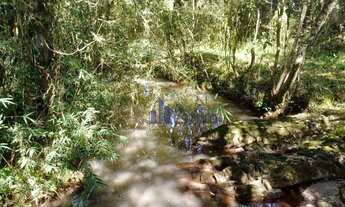 Imagem 6: Área à venda, 20000 m² por R$ 200.000,00 - Zona Rural - Criúva (Caxias do Sul)/RS