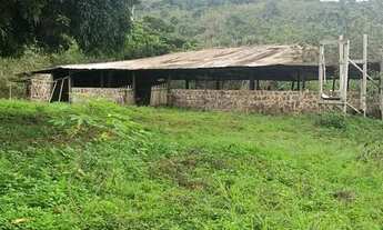 Imagem 6: /Terreno com 270 hectares na BR 174