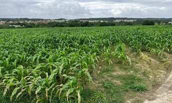 Imagem 5: Fazenda, propriedade, sitio, chácara, terreno, área territorial