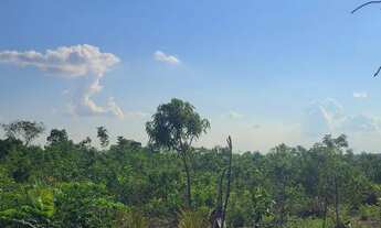 Imagem 6: Vendo ou troco Chácara