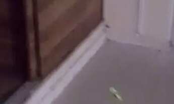 Imagem 5: Alugo Ponto Comercial