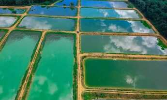 Imagem 3: Fazenda 1.000 x 1.420 na estrada de Manacapuru km 27 16.500.001,00