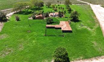 Imagem: Região de Jales/SP. São 66 alqueires com