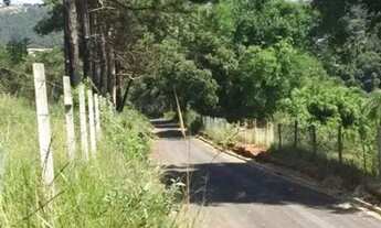 Imagem 5: AREA - CHÁCARA JAGUARI (FAZENDINHA) - SP