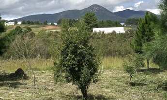 Imagem 7: Terreno exclusivo em condomínio Fechado em Quatro Barras próximo de Curitiba