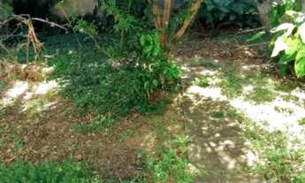 Imagem 4: CASA TÉRREA - JARDIM BRASIL - SP