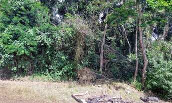 Imagem 3: Terreno Terreno / lote com venda por R$100.000