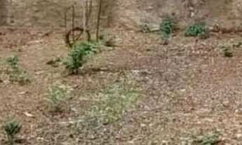 Imagem 2: Casa a venda em Cidade Continental