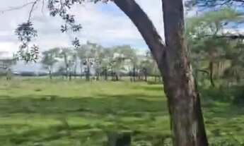 Imagem 7: Imóvel para venda possui 1200000 metros quadrados em Jardim Residencial Golden Park - Jaca