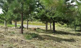 Imagem 6: Terreno exclusivo em condomínio Fechado em Quatro Barras próximo de Curitiba