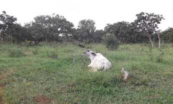 Imagem 6: Linda chácara de 20 mil metros, Jaboticatubas (Temos varias opções)