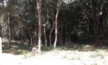 Imagem 6: Linda chácara de 4 mil metros com um chalé(Temos varias opções)