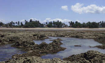 Imagem 7: Terreno, condomínio, lote, ilha , praia , barato