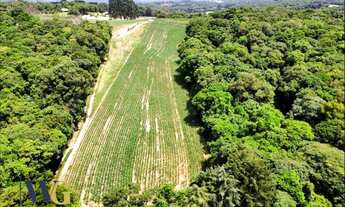 Imagem 3: Terreno Rural para Venda em Campo Largo, Colônia Balbino Cunha