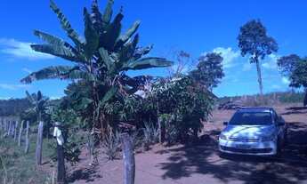 Imagem 7: Vendo Chacara de 6,4 hects , [ 1,32 ] alqs. proxima a Lajeado