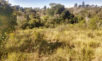 Imagem 2: Lote/Terreno para venda possui 500 metros quadrados em Verava - Ibiúna - SP